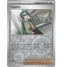 Dresseur Cayenn 172/182 Reverse