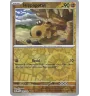 Hippopotas 105/182 Reverse