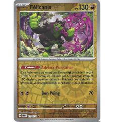 Félicanis 057/131 Reverse