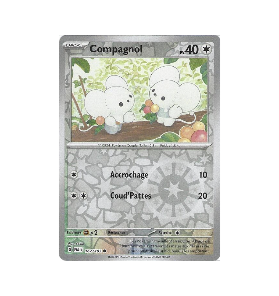 Compagnol 167/193 Reverse