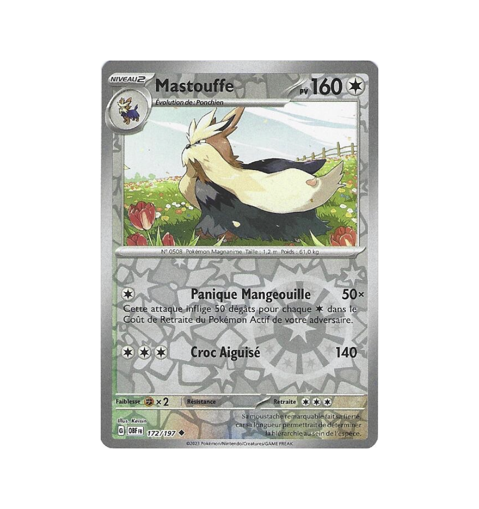 Mastouffe 172/197 Reverse