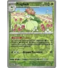 Fragilady 007/159 Reverse