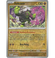 Félicanis 111/167 Reverse