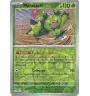 Maracachi 008/159 Reverse