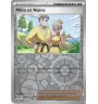 Dresseur Milio Et Naire 142/159 Reverse