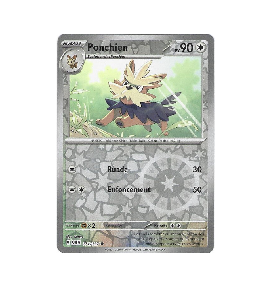 Ponchien 171/197 Reverse