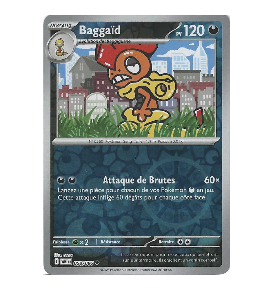 Baggaid 058/086 Reverse