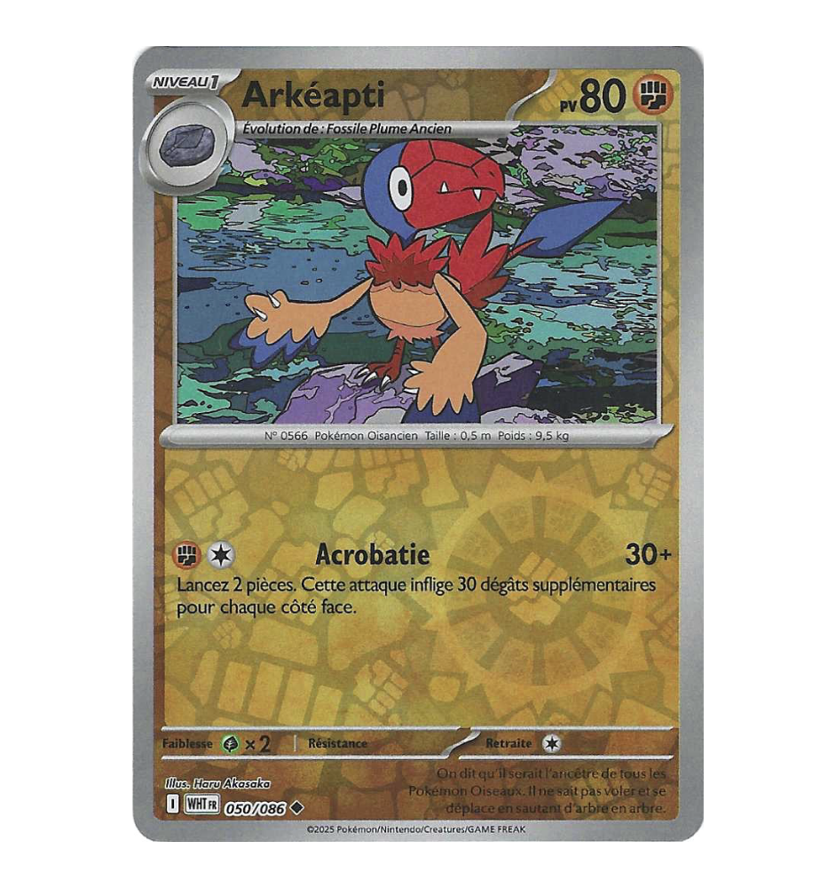 Arkéapti 050/086 Reverse