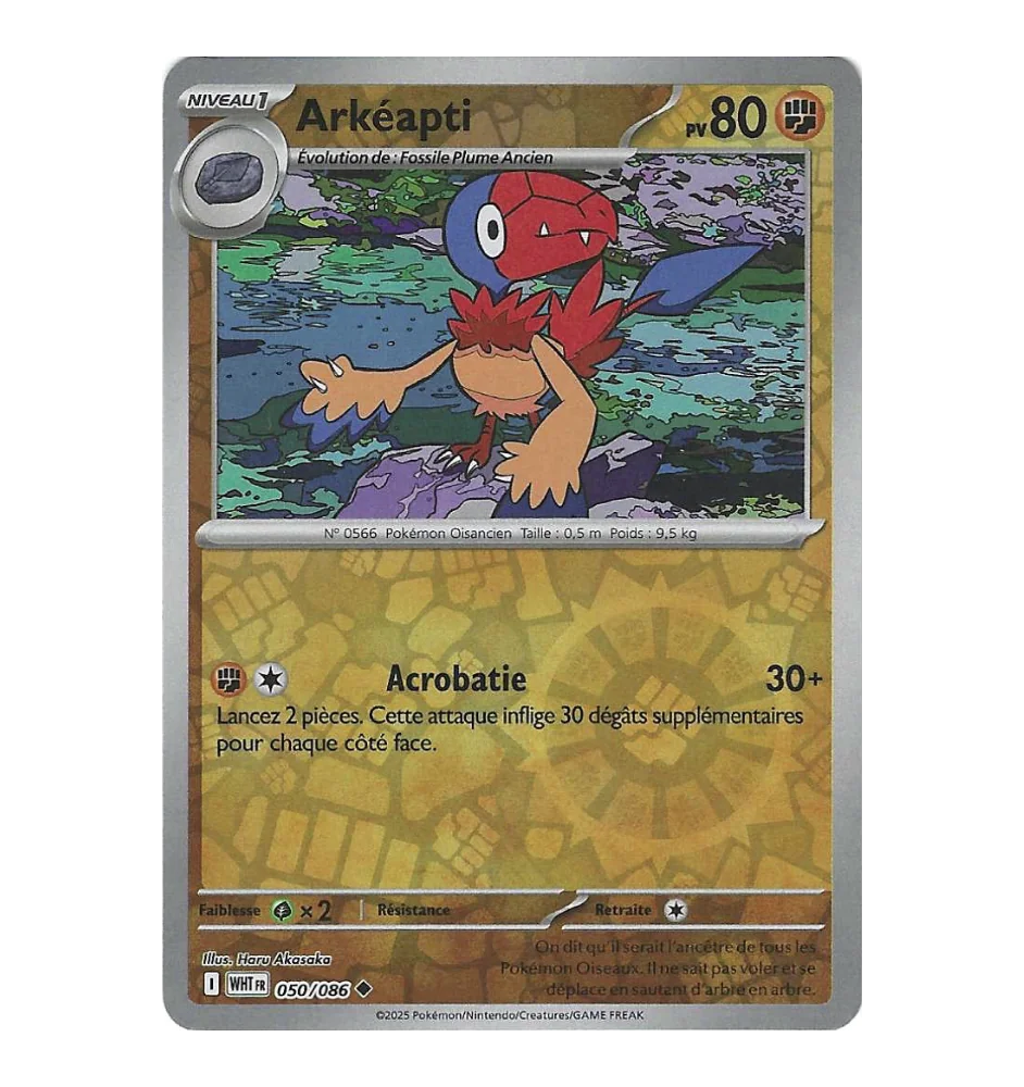Arkéapti 050/086 Reverse