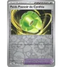 Cynthia’s Trainer Weight Power 162/182 Reverse