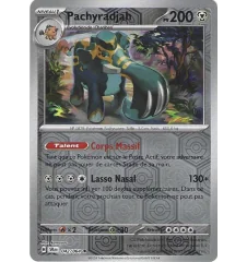 Pachyradjah 042/064 Reverse