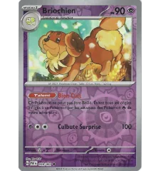 Briochien 039/091 Reverse