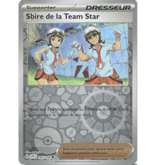 Dresseur Sbire De La Team...