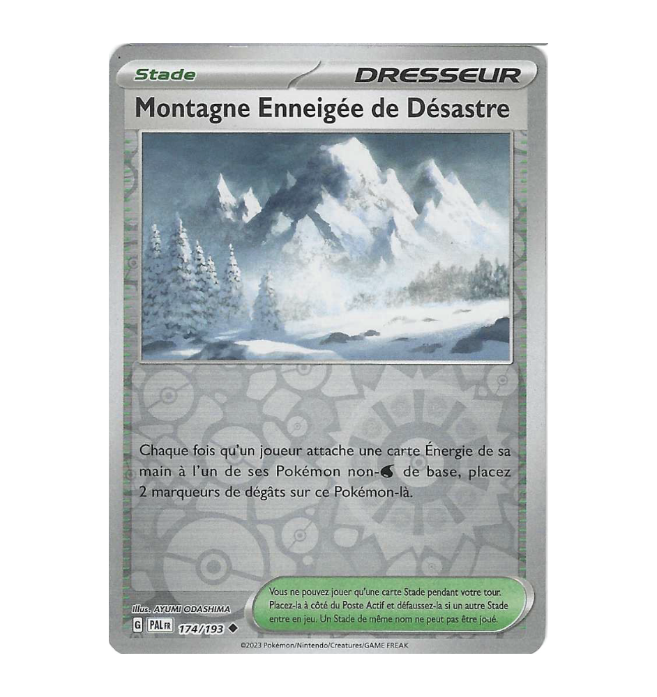 Dresseur Montagne Enneigée De Désastre 174/193 Reverse