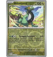 Motorizard 070/091 Reverse