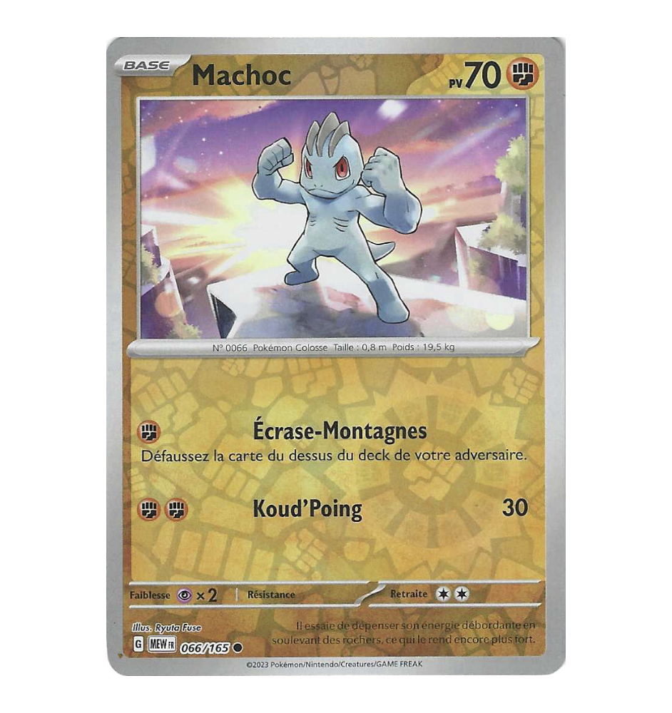 Machoc 066/165 Reverse