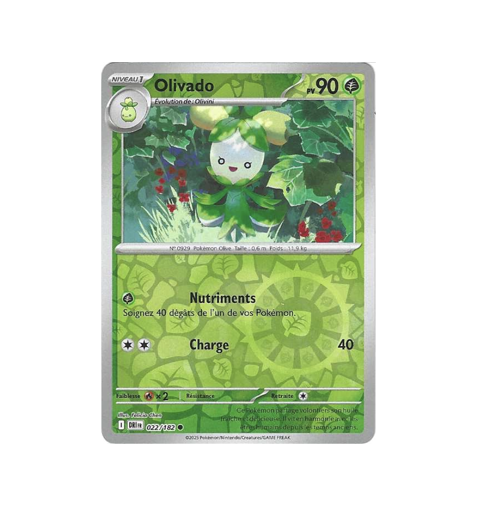 Olivado 022/182 Reverse