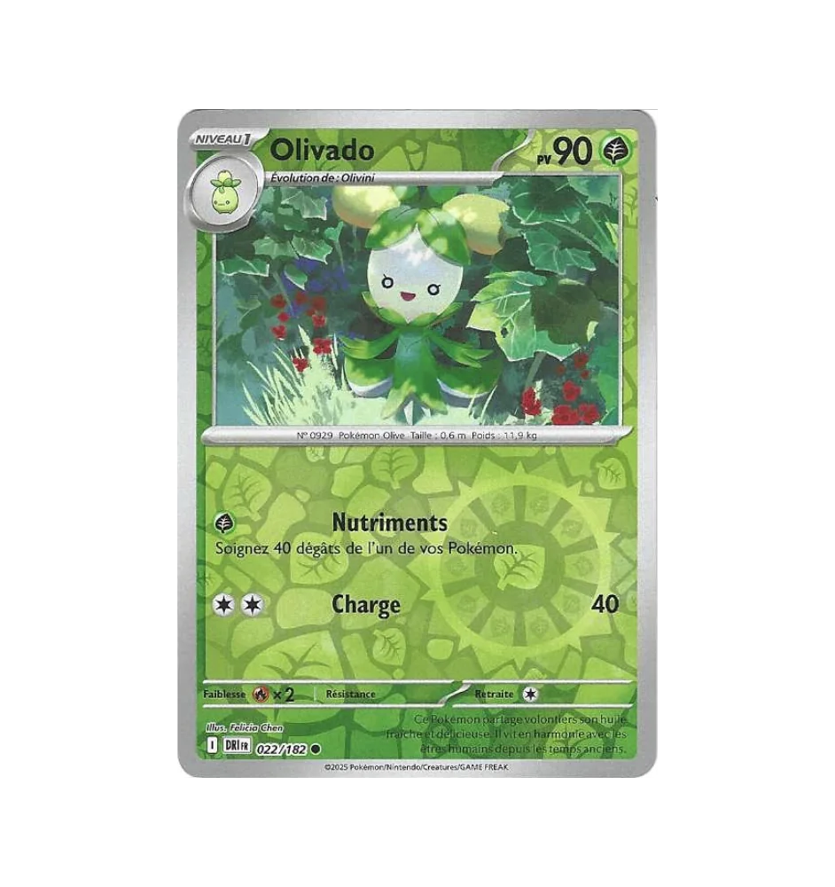 Olivado 022/182 Reverse