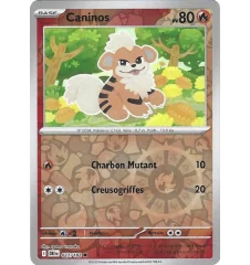 Canines 027/182 Reverse