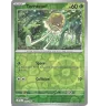 Terracool 025/198 Reverse