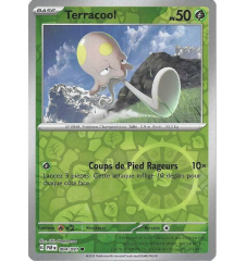 Terracool 004/091 Reverse