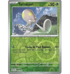 Terracool 004/091 Reverse