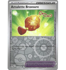 Dresseur Amulette Bravoure...