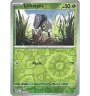 Lilliterelle 019/159 Reverse