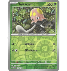 Terracool 017/142 Reverse