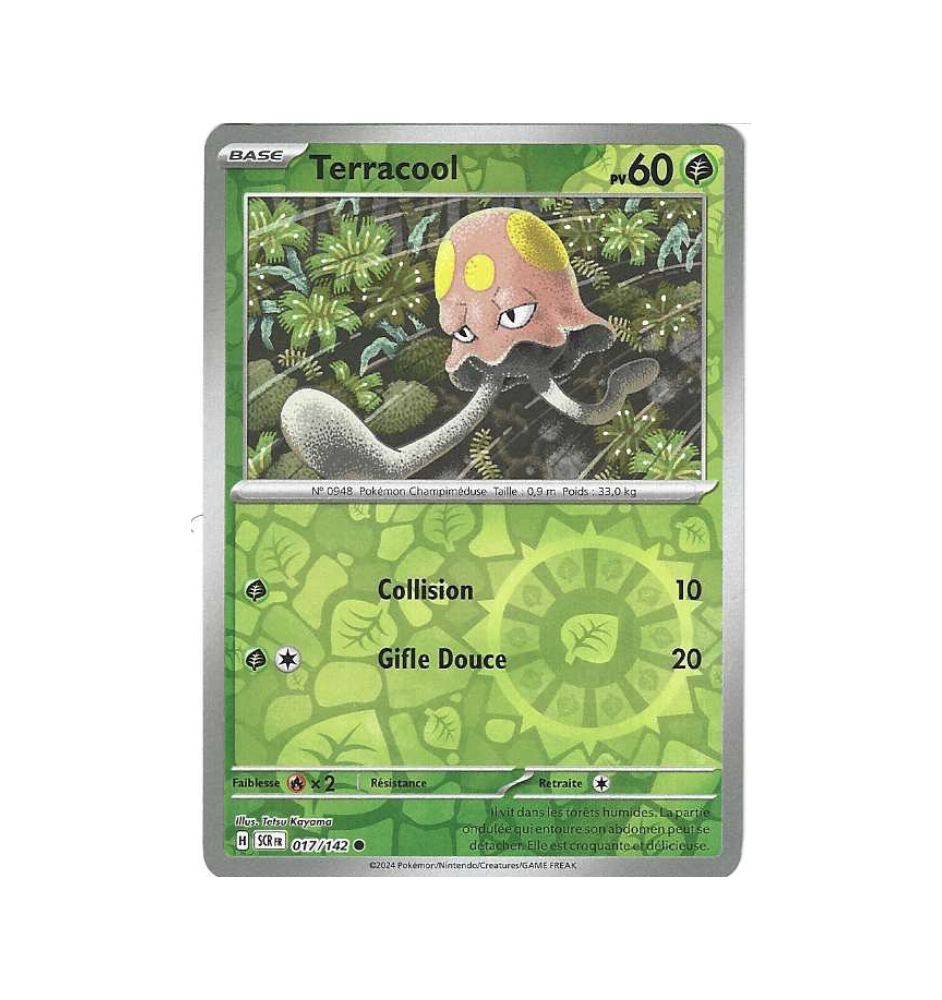 Terracool 017/142 Reverse