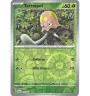 Terracool 017/142 Reverse