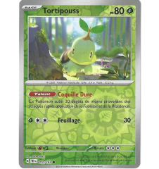 Tortipouss 010/162 Reverse