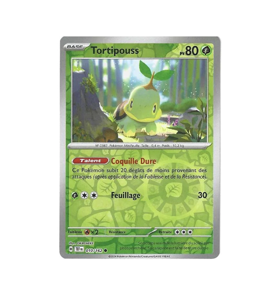 Tortipouss 010/162 Reverse
