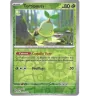 Tortipouss 010/162 Reverse