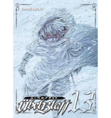 Manga Übel Blatt vol 13