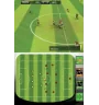 DS Fifa 07 Cib