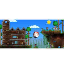 WII U Terraria