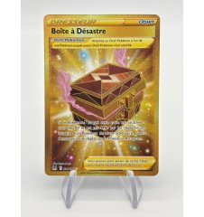 Dresseur Boite a Désastre 214/196