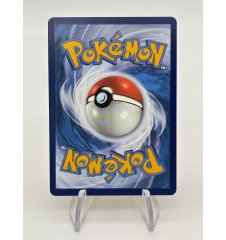 Dresseur Boite a Désastre 214/196