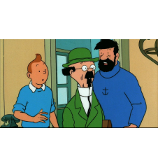 VHS Tintin Le trésor De Rackham Le Rouge