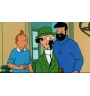 VHS Tintin Le trésor De Rackham Le Rouge