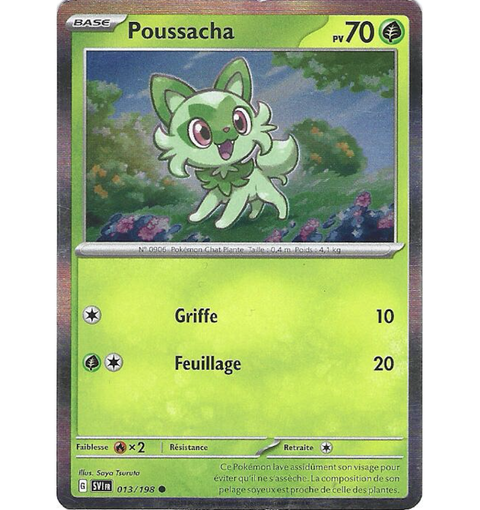 Poussacha 013/198 Holo