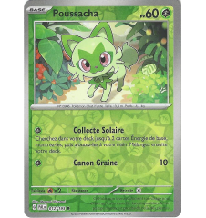 Poussacha 012/193 Reverse