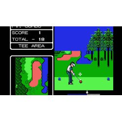 Nes Fighting Golf Sn EEC