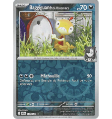 Baggiguane De Rosemary...