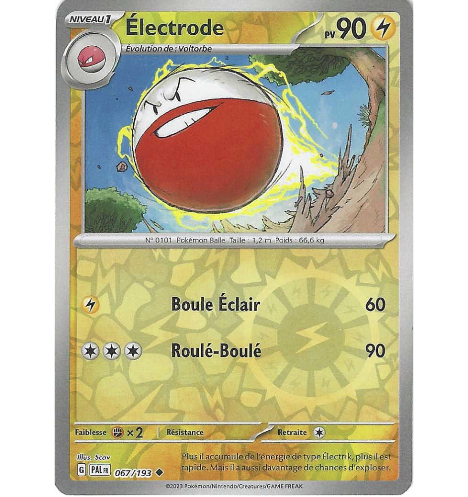 Electrode 067/193 Reverse