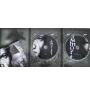 Coffret DVD Immortel Ad Vitam
