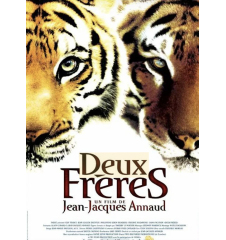 DVD Deux Frères