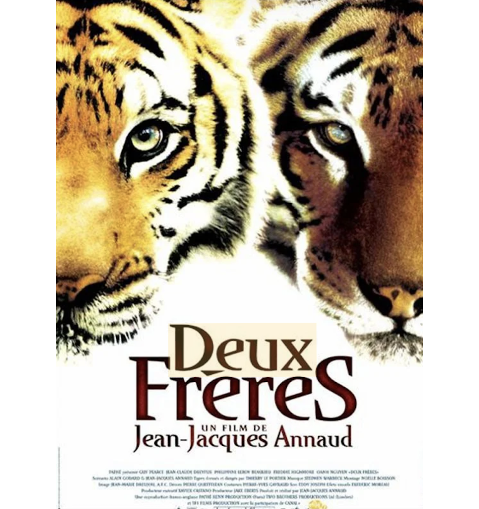 DVD Deux Frères