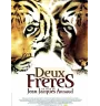 DVD Deux Frères